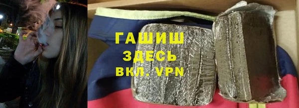 индика Инсар