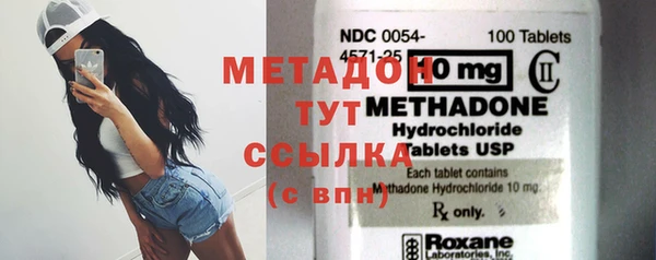 индика Инсар