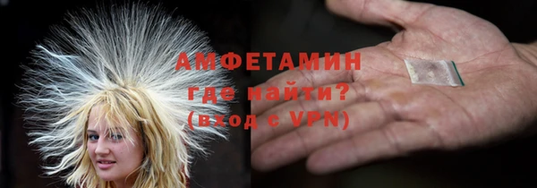 индика Инсар