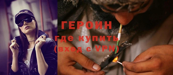 индика Инсар