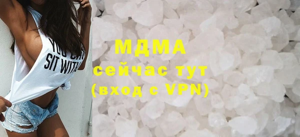 индика Инсар