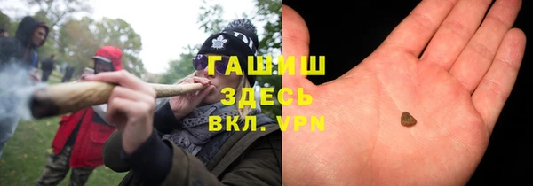 индика Инсар