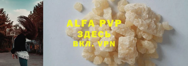 индика Инсар