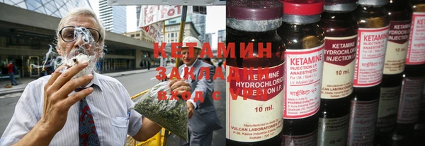 индика Инсар