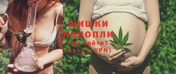 индика Инсар