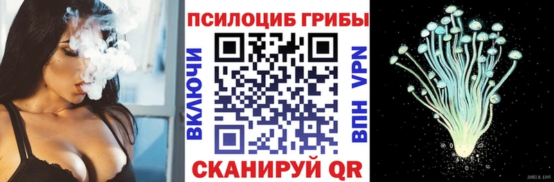 Псилоцибиновые грибы мицелий Знаменск