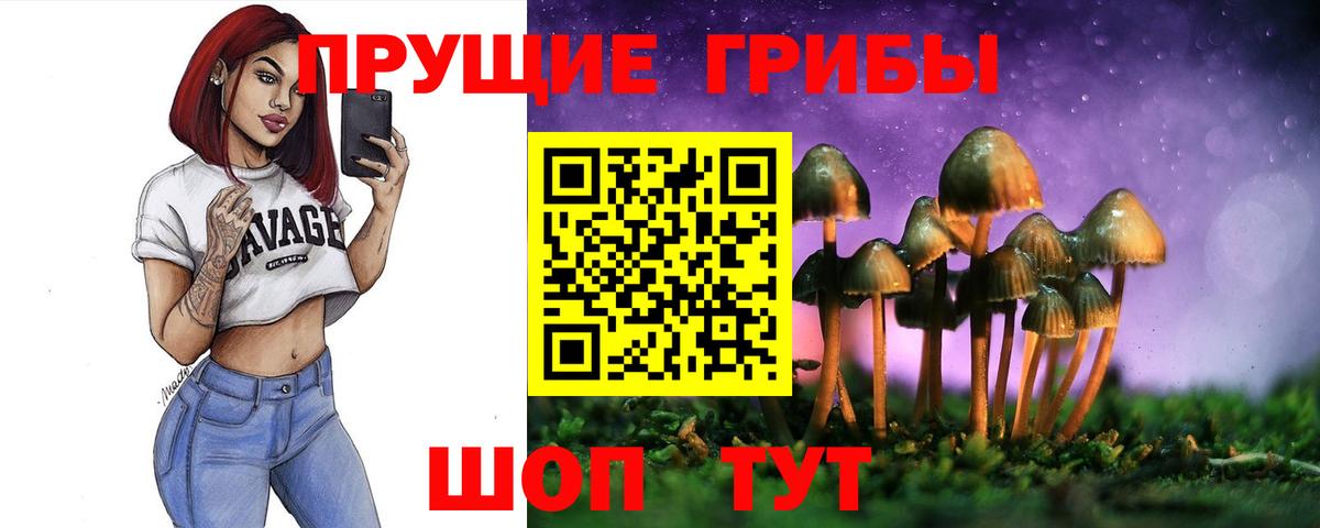 Галлюциногенные грибы Psilocybe  Галлюциногенные грибы мухоморы  Знаменск  Вход с VPN 