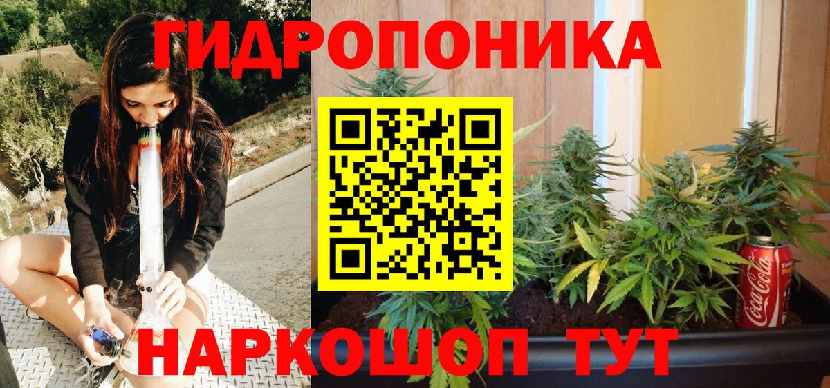 Конопля ГИДРОПОН Знаменск